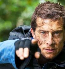 Bear Grylls Picture