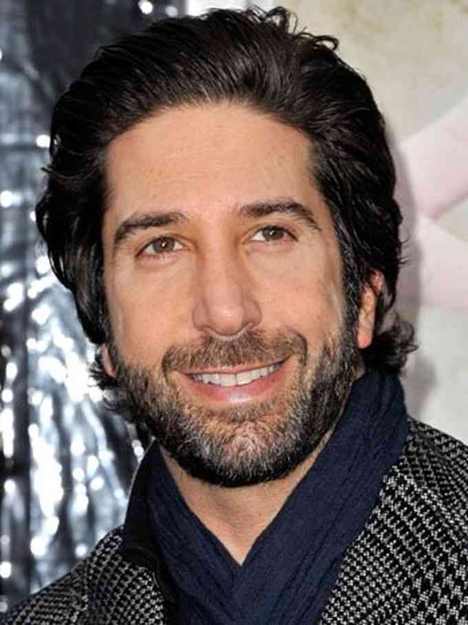 David Schwimmer Net Worth, Height, Affairs, Age, Bio and More 2024 The