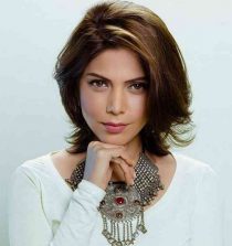 Hadiqa Kiani Pic