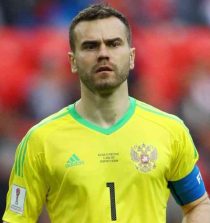 Igor Akinfeev Picture