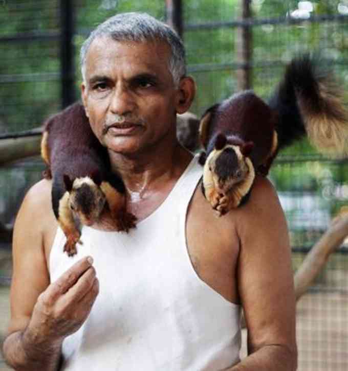 Prakash Amte Image