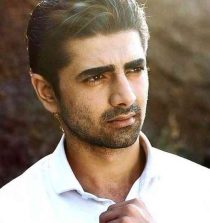 Shehzad Shaikh