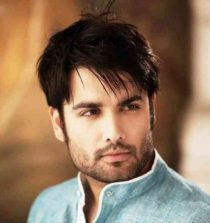 Vivian Dsena Picture