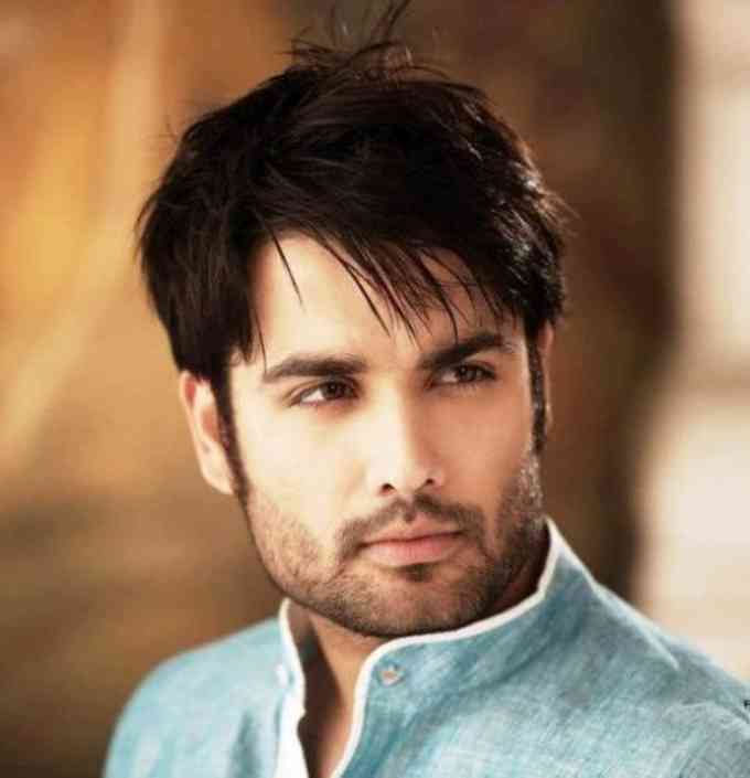 Vivian Dsena  Picture