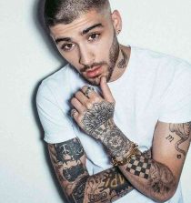 Zayn Malik Picture