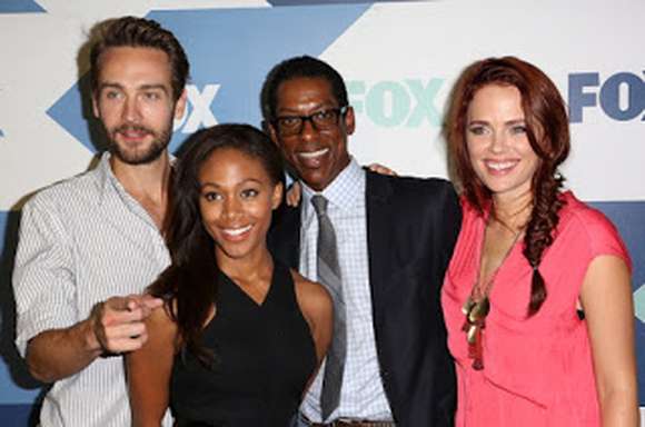 Nicole Beharie Picture