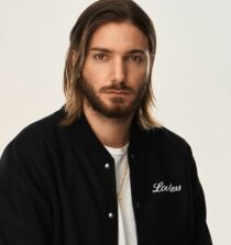 Alesso net worth