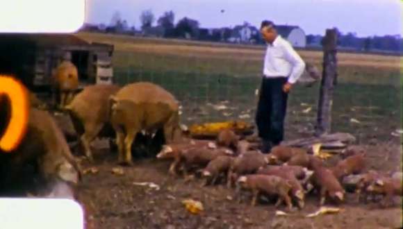 Arnie Bielema height