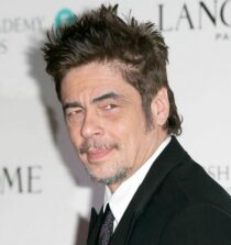 Benicio del Toro weight