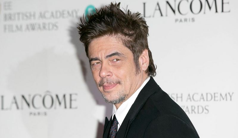 Benicio del Toro weight