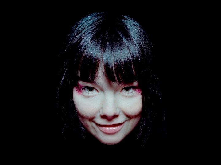 Bjork Age bf wiki bio