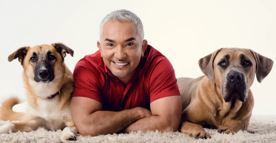 Cesar Millan height