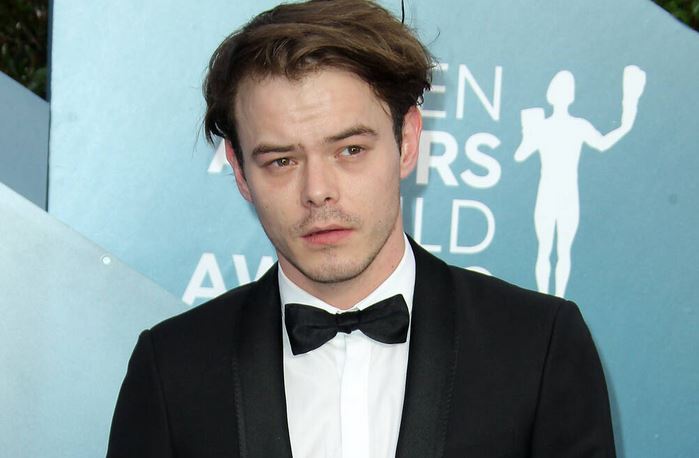 Charlie Heaton net worth