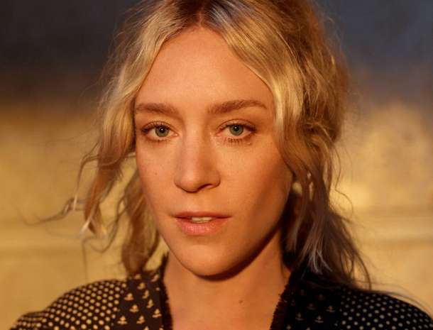 Chloe Stevens Sevigny net worth