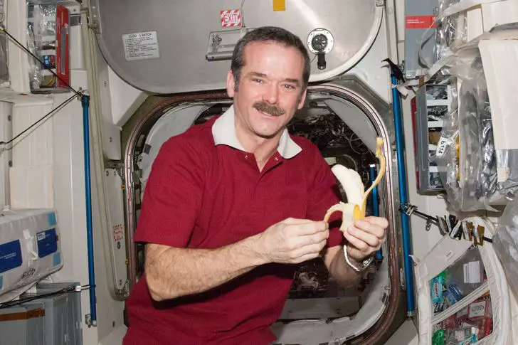 Chris Hadfield net worth