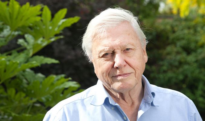 David Attenborough height