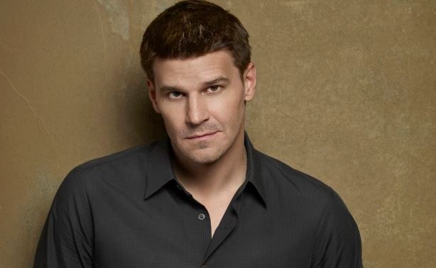 David Boreanaz net worth