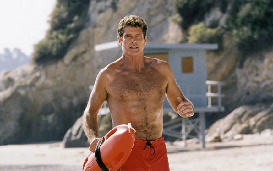 David Hasselhoff height