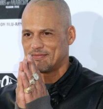 David Labrava networth