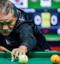 Efren Reyes net worth