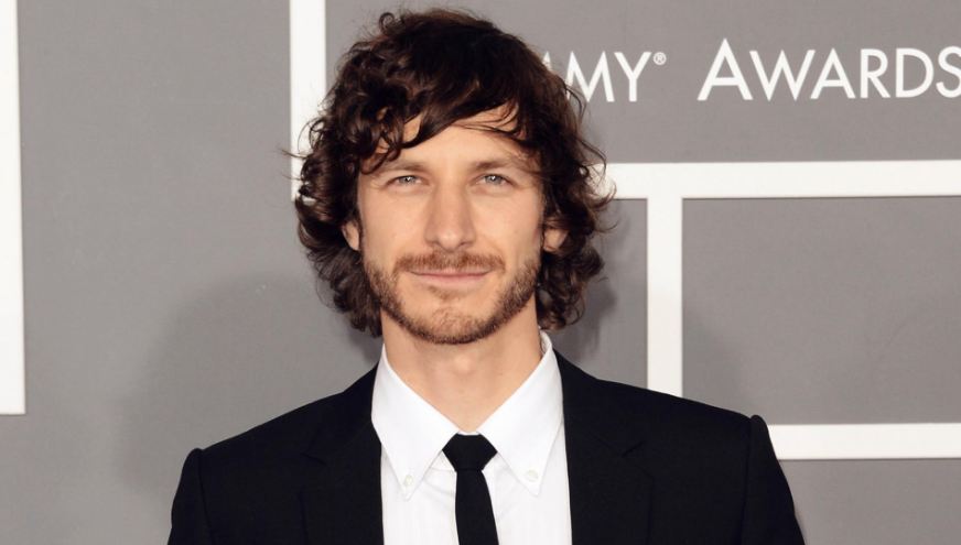 Gotye net worth