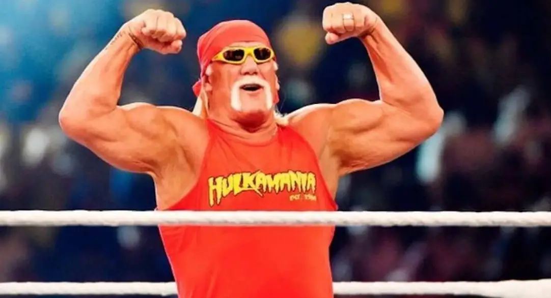 Hulk Hogan net worth