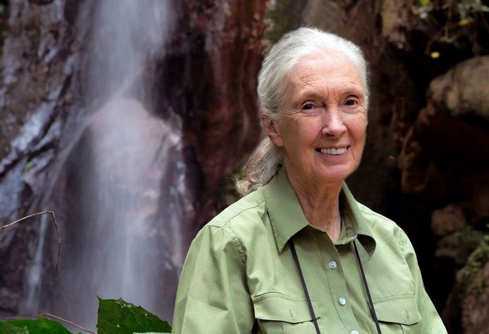 Jane Goodall net worth