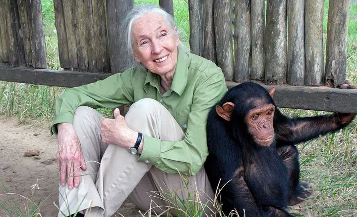 Jane Goodall weight