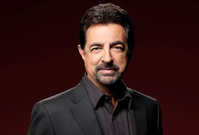 Joe Mantegna age