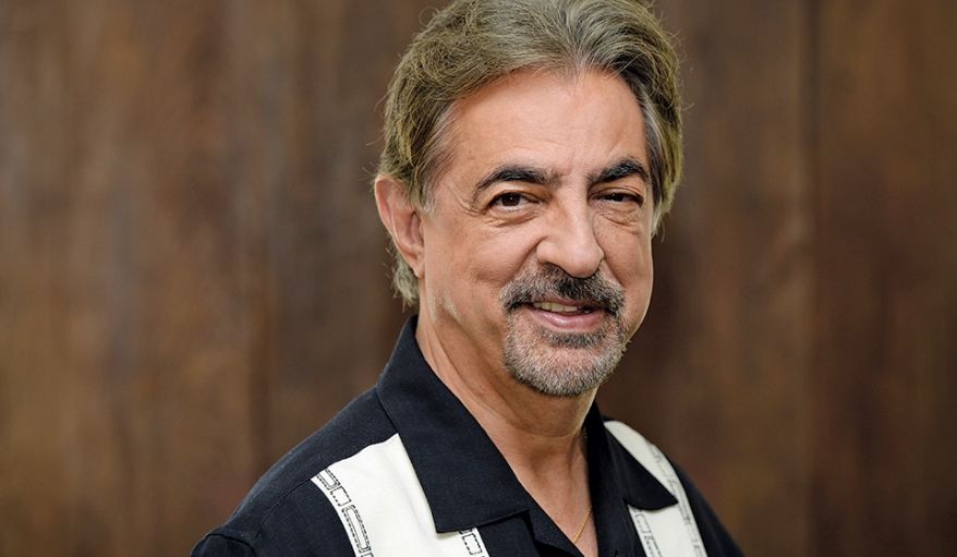 Joe Mantegna net worth