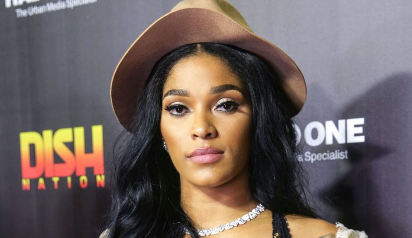 Joseline Hernandez net worth