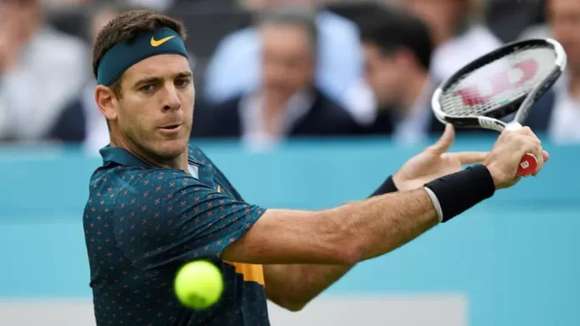 Juan Martn del Potro Lucas net worth