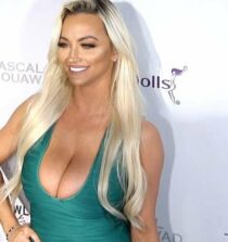 Lindsey Nicole Pelas networth