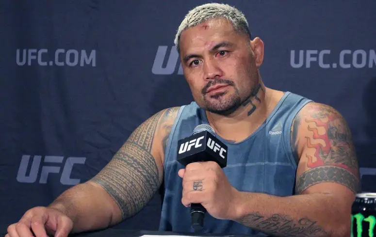 Mark Hunt net worth