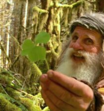 Mick Dodge height