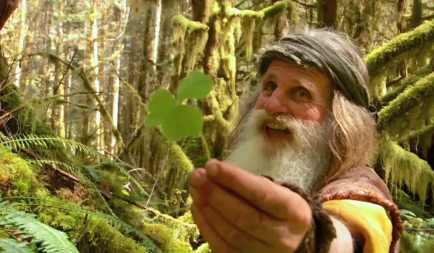 Mick Dodge net worth, Weight, Kids, Wife, BioWiki, Age 2024 The Personage