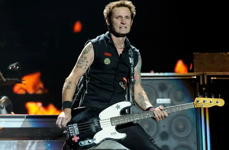 Mike Dirnt net worth