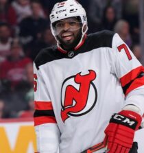 P. K. Subban net worth