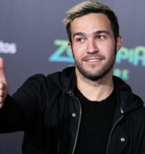 Pete Wentz net worth