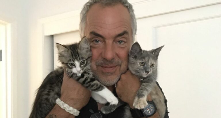 Titus Welliver Net Worth, Age: Wife, Bio-Wiki, Kids, Weight 2022 - The ...