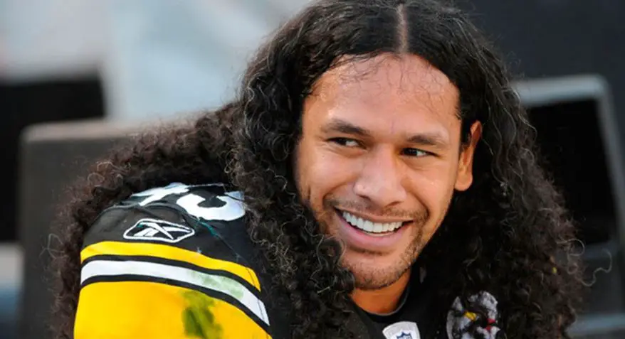 Troy Polamalu net worth