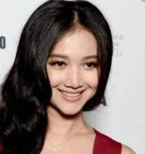 Wenwen Han net worth