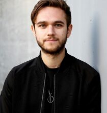 Zedd net worth