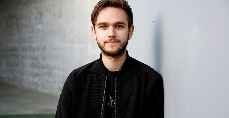 Zedd net worth