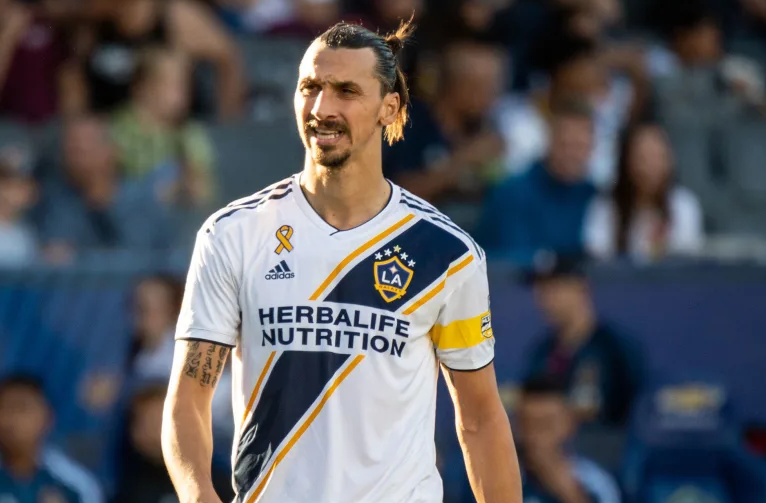 Zlatan Ibrahimovic net worth