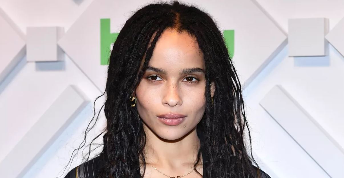 Zoe Kravitz Net worth, Age Kids, BioWiki, Weight, Wife 2022 The