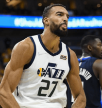 Rudy Gobert Image