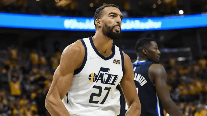 Rudy Gobert Image