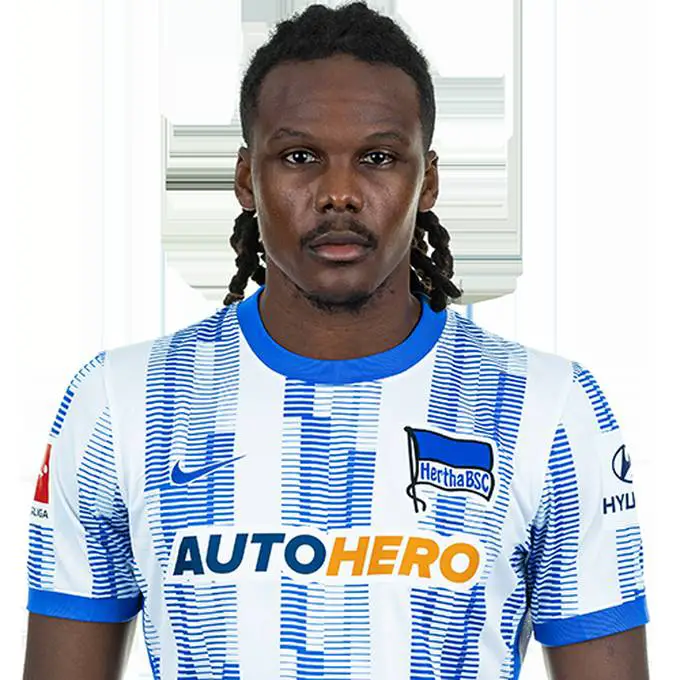 Dedryck Boyata Picture