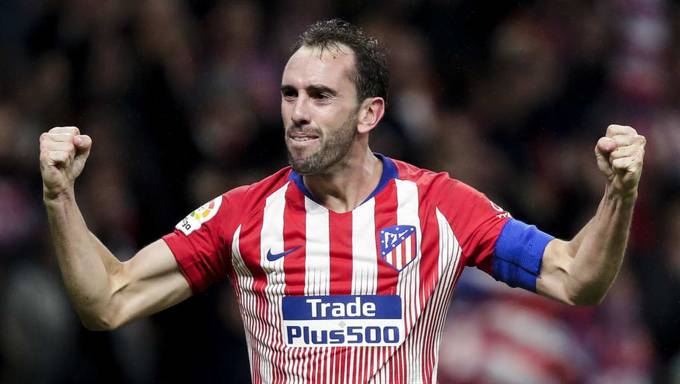 Diego Godin Picture